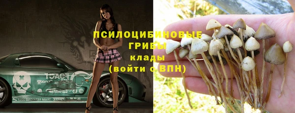 винт Алексеевка